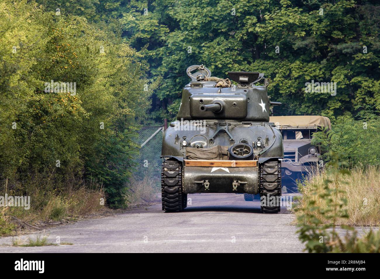 An American World War II Sherman drives on the road between the trees Stock Photo