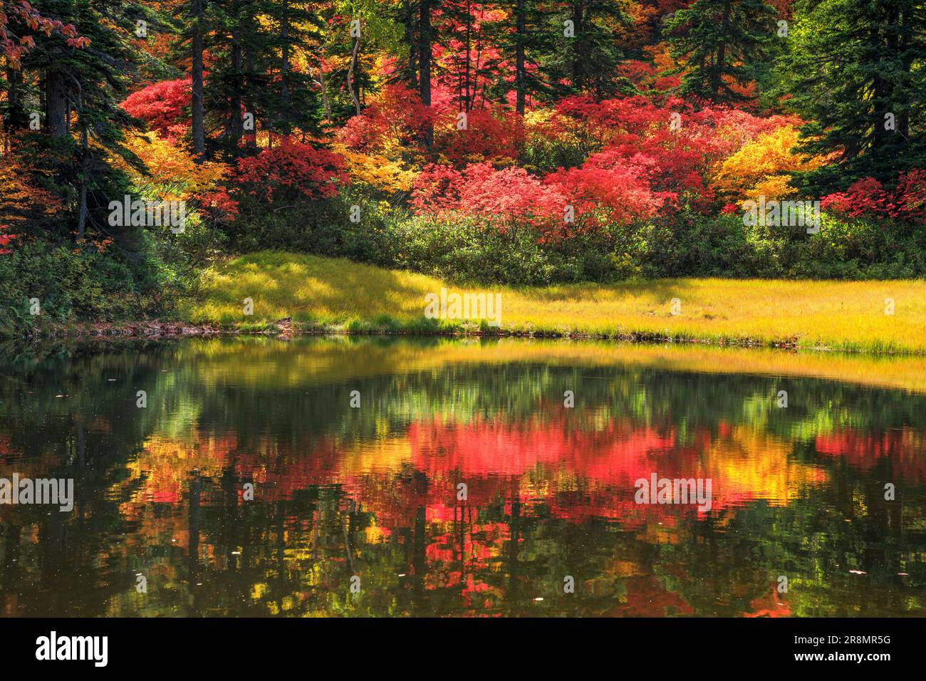 Takimi Swamp in Daisetsu Plateau Stock Photo Alamy