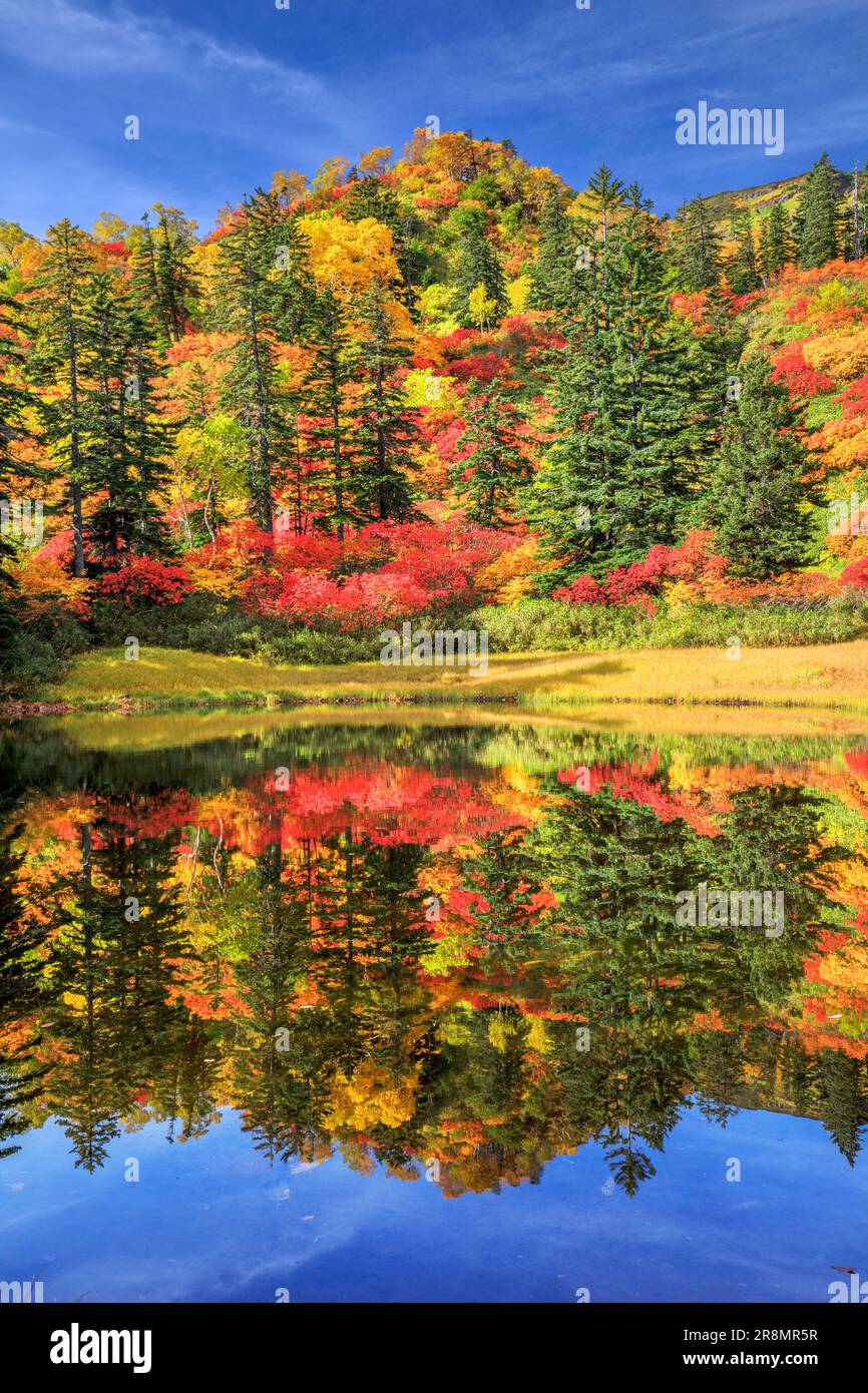 Takimi Swamp in Daisetsu Plateau Stock Photo Alamy