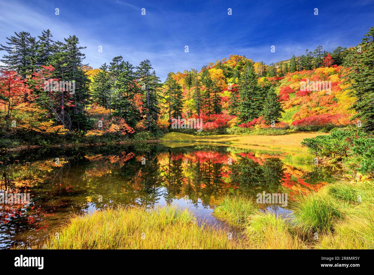 Takimi Swamp in Daisetsu Plateau Stock Photo Alamy