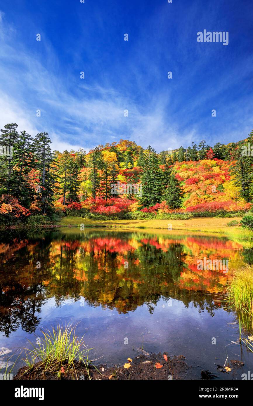 Takimi Swamp in Daisetsu Plateau Stock Photo Alamy