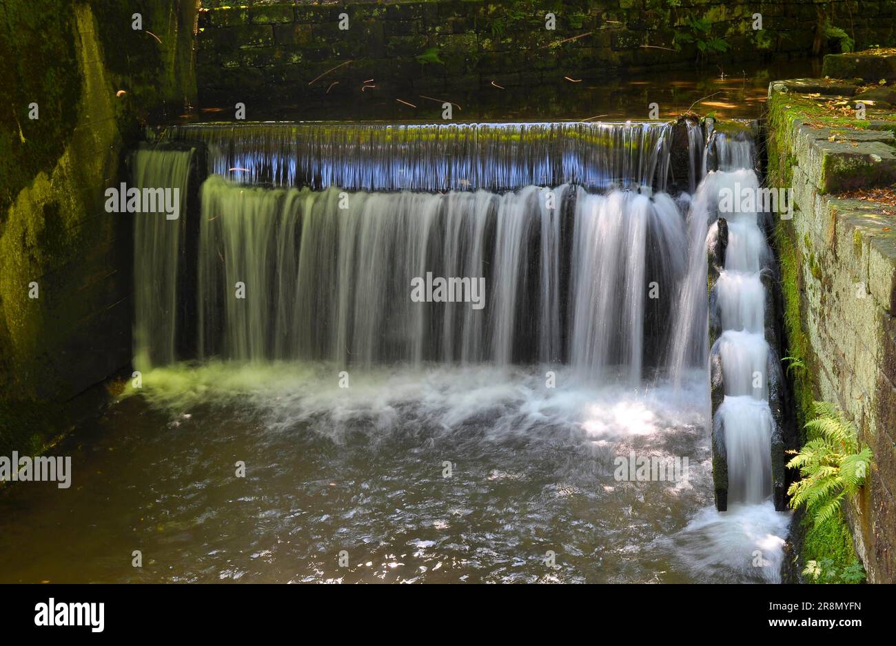 Bad Herrenalb, spa gardens, river : Alb, small waterfall with fish ...