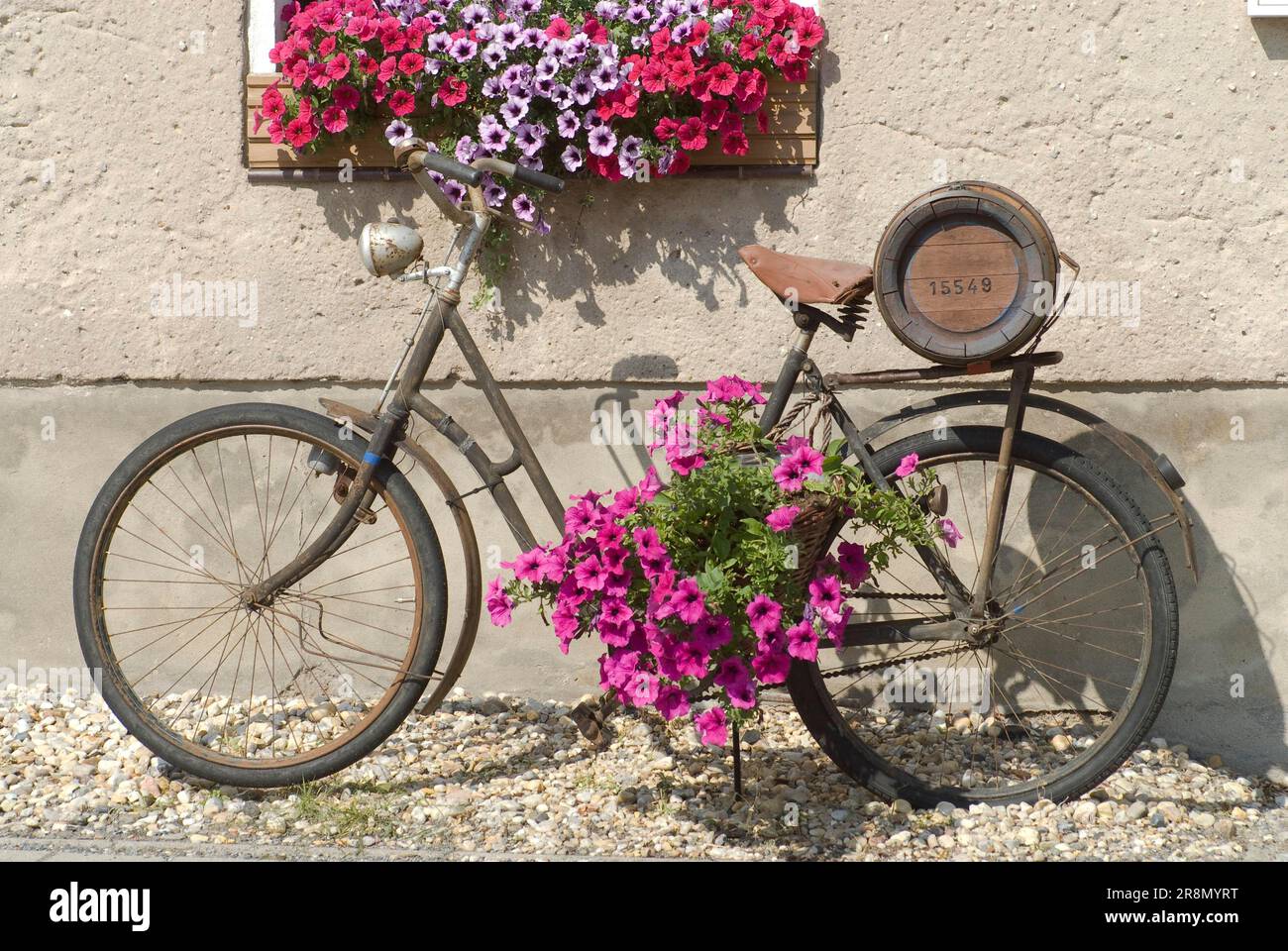 Flower bike Stock Photo
