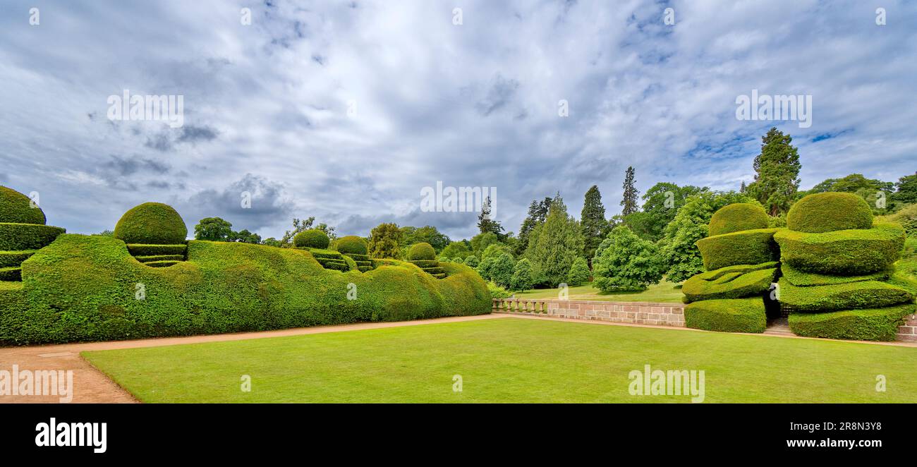 Crathes Castle Banchory Aberdeenshire Scotland the main large topiary ...