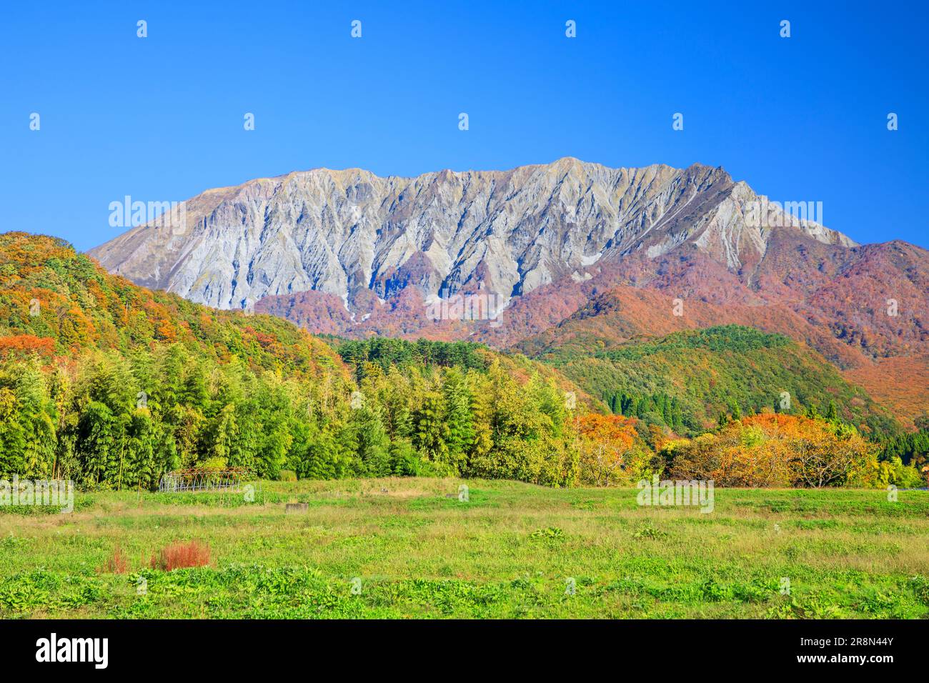 Autumn leaves of Mt. Stock Photo