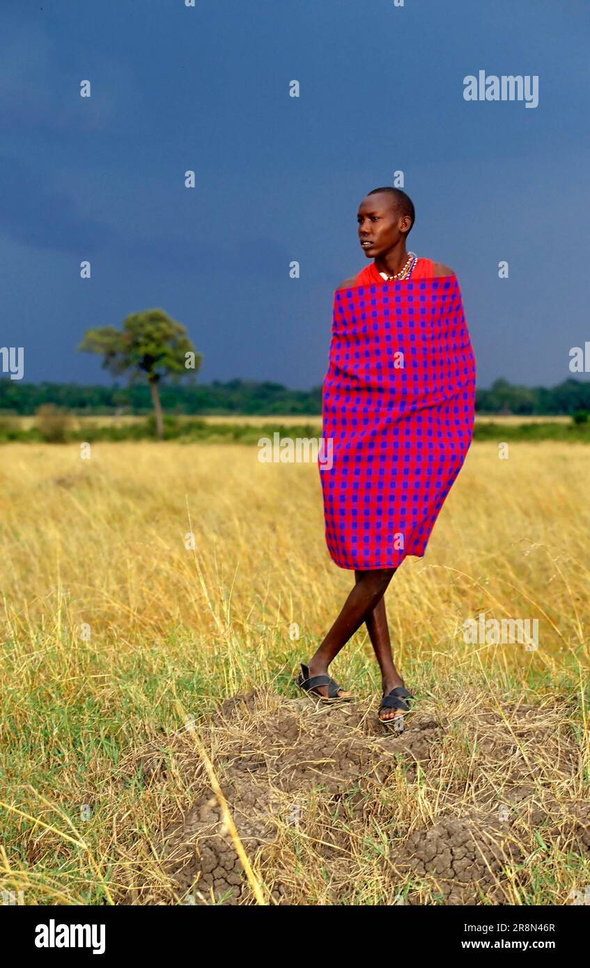 Maasai, Kenya, East Africa Stock Photo