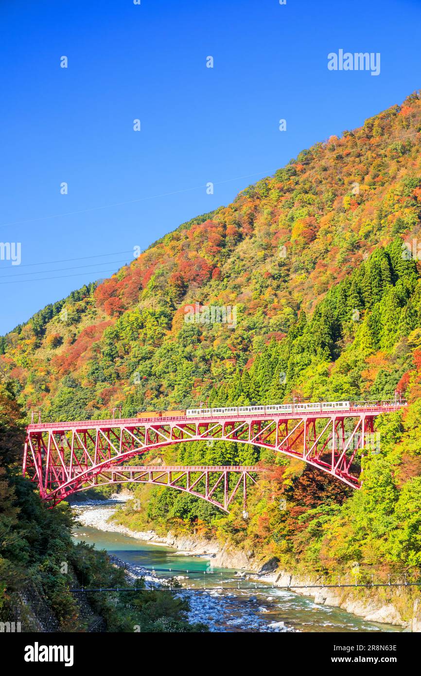 Kurobe Gorge Railway and autumn leaves Stock Photo - Alamy