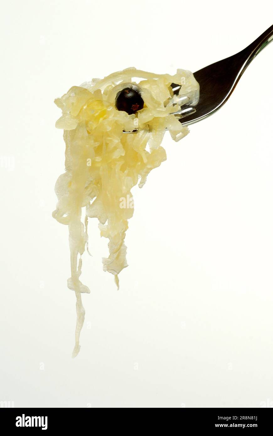 Sauerkraut with juniper berry (Juniperus communis), juniper, sauerkraut