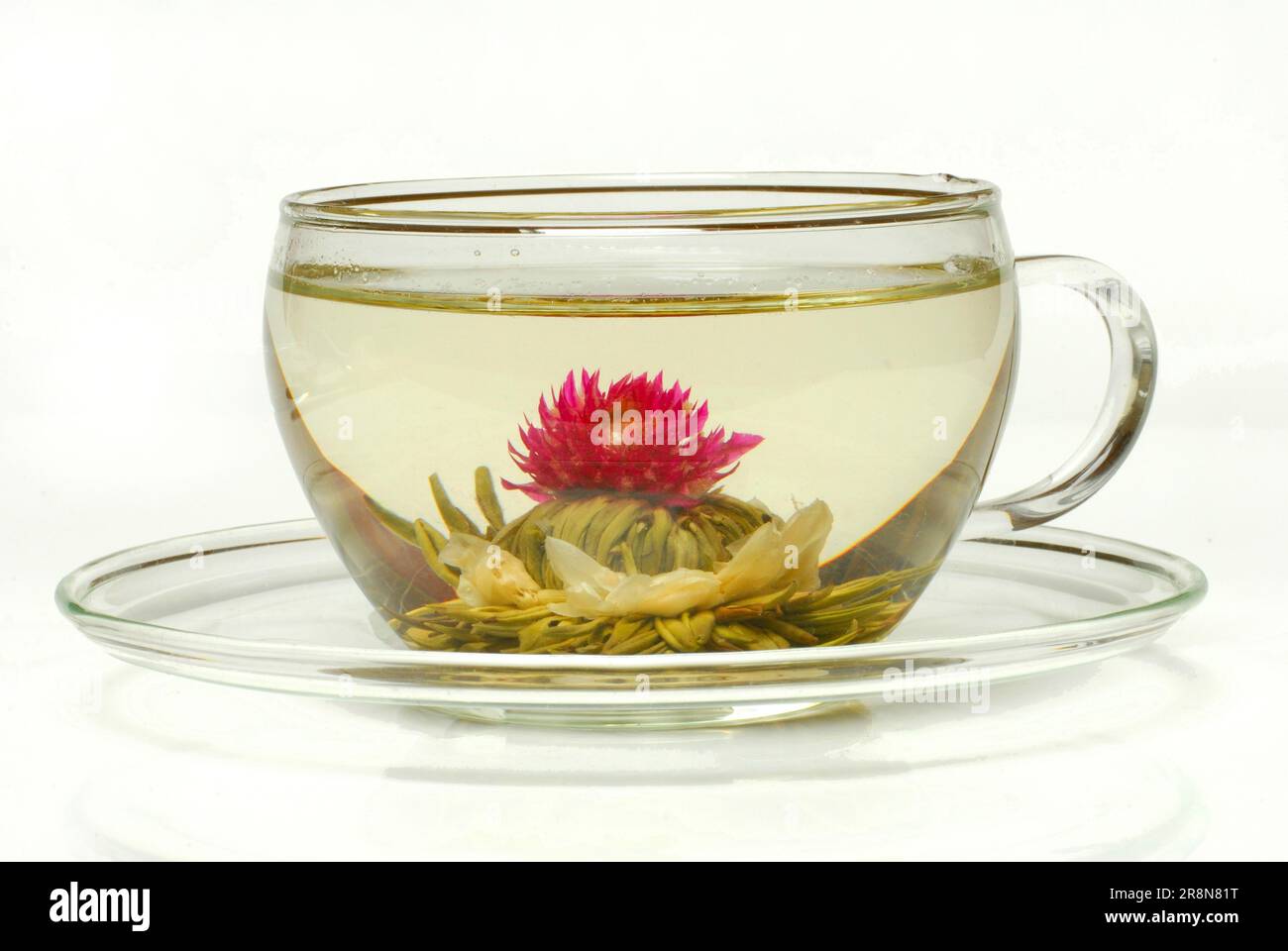 Cup with flower tea, Tea flower 'Petite Princesse', White tea with jasmine and amaranth blossoms