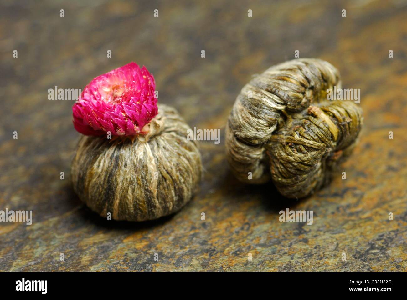 Tea flowers, white tea Stock Photo