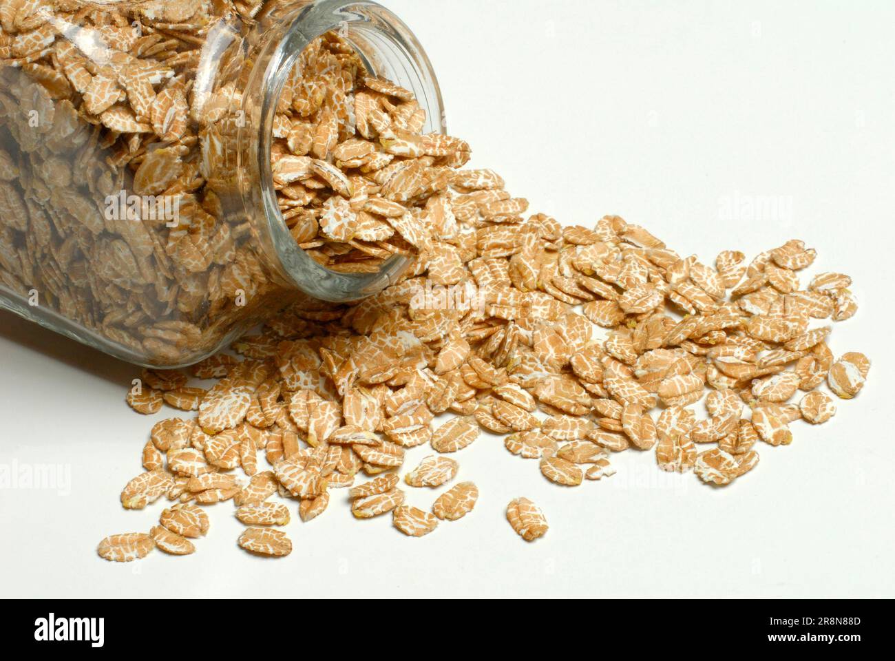 Dinkel wheatflake (Triticum spelta) Stock Photo