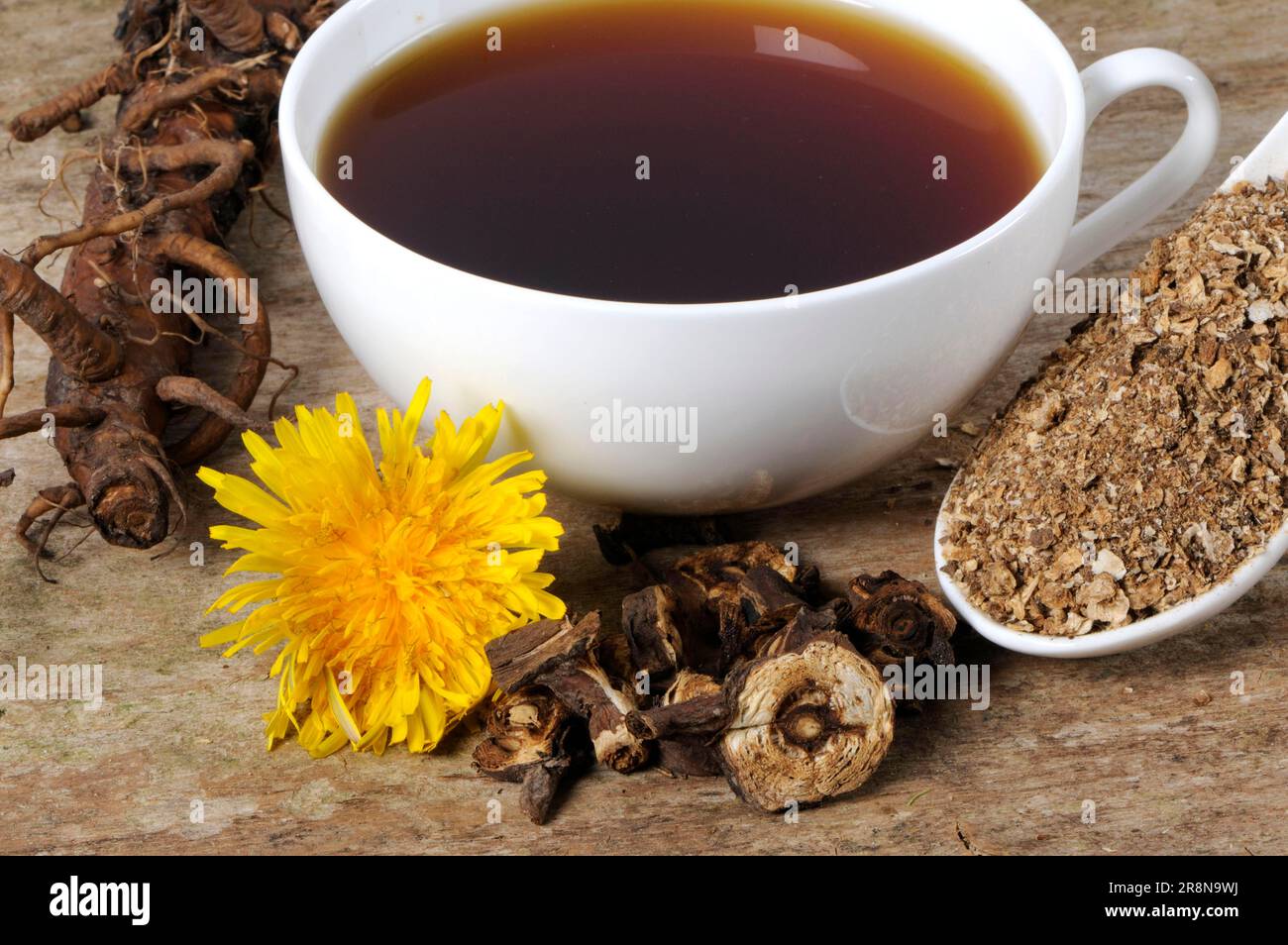 Cup Dandelion Root (Taraxacum officinale) (Taraxacum vulgare), Dandelion Root Coffee, Dandelion Root Coffee, Dandelion, Common Cowflower Stock Photo