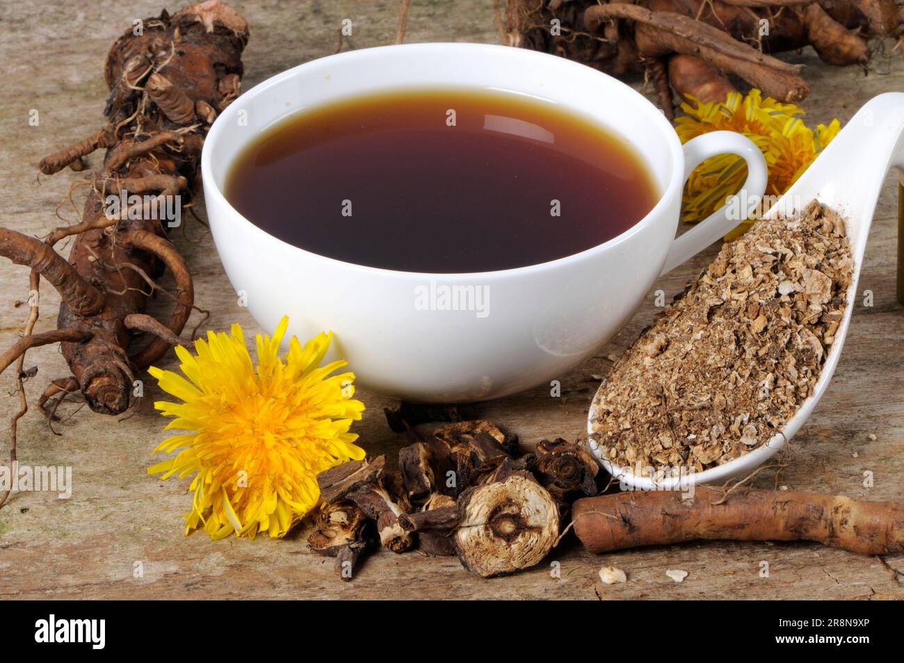 Cup Dandelion Root (Taraxacum officinale) (Taraxacum vulgare), Dandelion Root Coffee, Dandelion Root Coffee, Dandelion, Common Cowflower Stock Photo