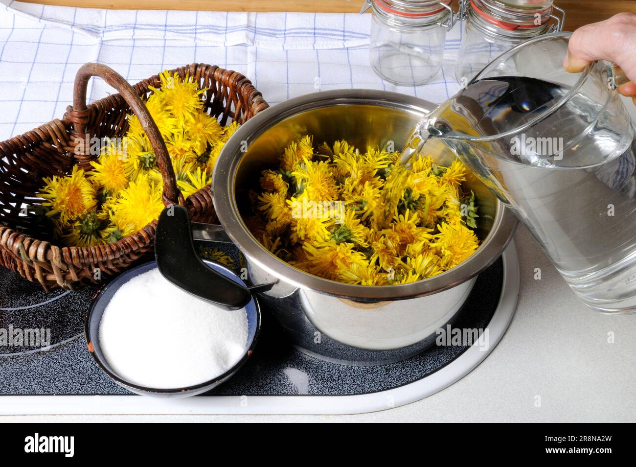 Production of dandelion syrup (Taraxacum officinale) (Taraxacum vulgare