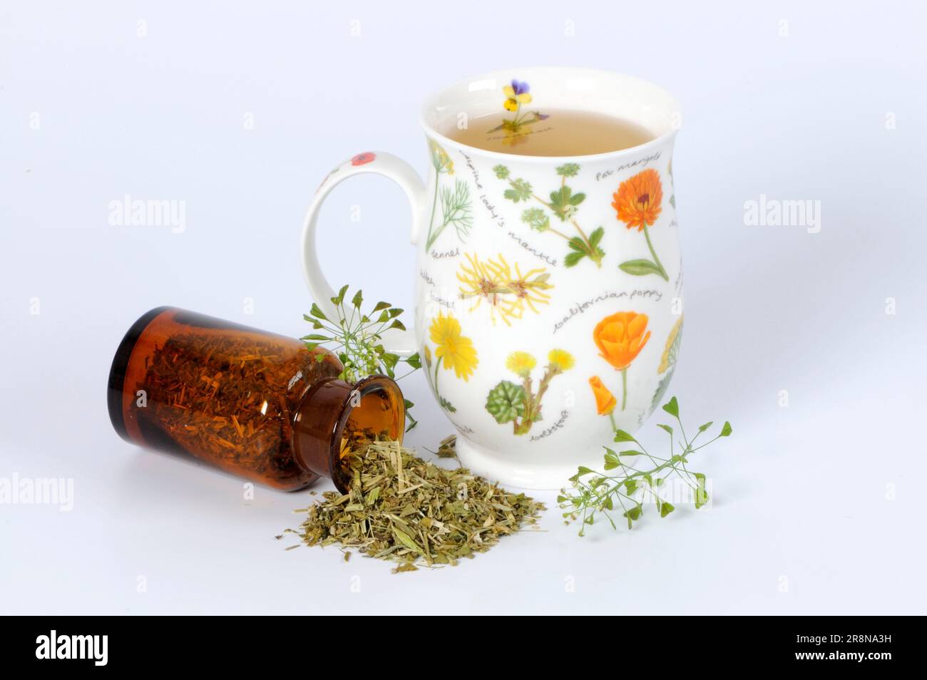 Shepherd's-Purse Herbal Teabags - KudoMarkt