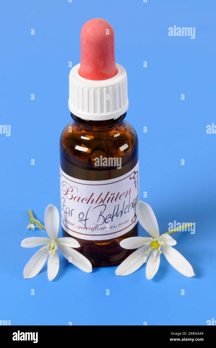 Bottle with Bach Flower Drops Doldy Milk Star (Ornithogalum umbellatum