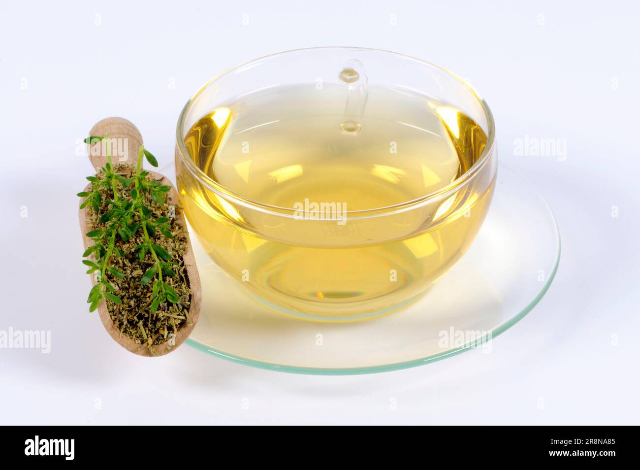 Herniaria glabra (Herniaria glabra), Cup of Rupturewort Tea, Smooth Centaury, Urinary Weed, Cuckoo Soap, Kidney Weed, Christian Sweat, Passionflower Stock Photo
