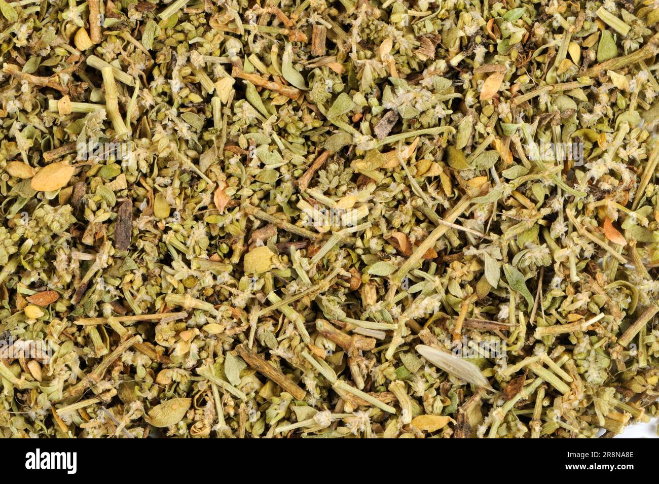 Herniaria glabra (Herniaria glabra), dried, Smooth Centaury, Urinary Weed, Cuckoo Soap, Kidneywort, Christian Sweat, Passionflower, Passion Flower Stock Photo