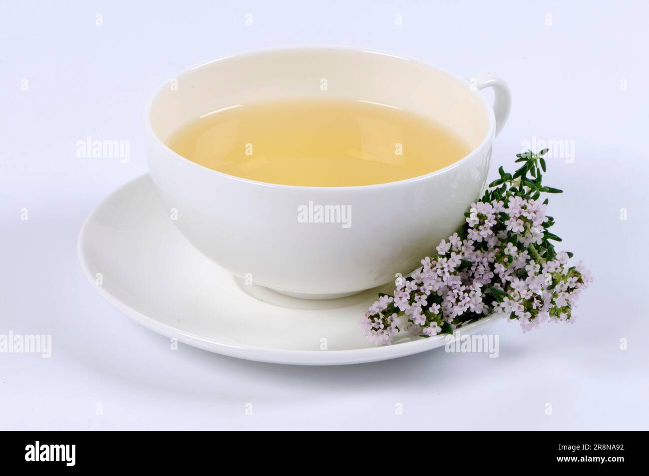 Cup large thyme tea (Thymus pulegioides Stock Photo Alamy