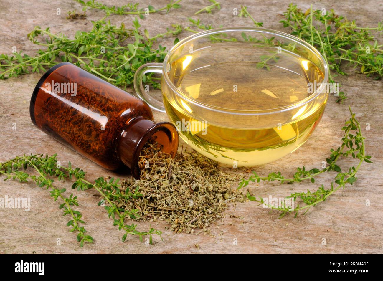 Herniaria glabra (Herniaria glabra), Cup of Rupturewort Tea, Smooth Centaury, Urinary Weed, Cuckoo Soap, Kidney Weed, Christian Sweat, Passionflower Stock Photo