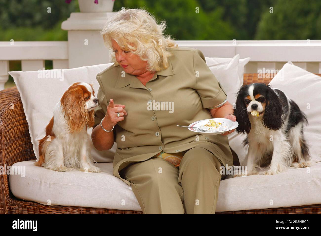 Wife and Cavalier King Charles Spaniel, tricolour and Blenheim, dog