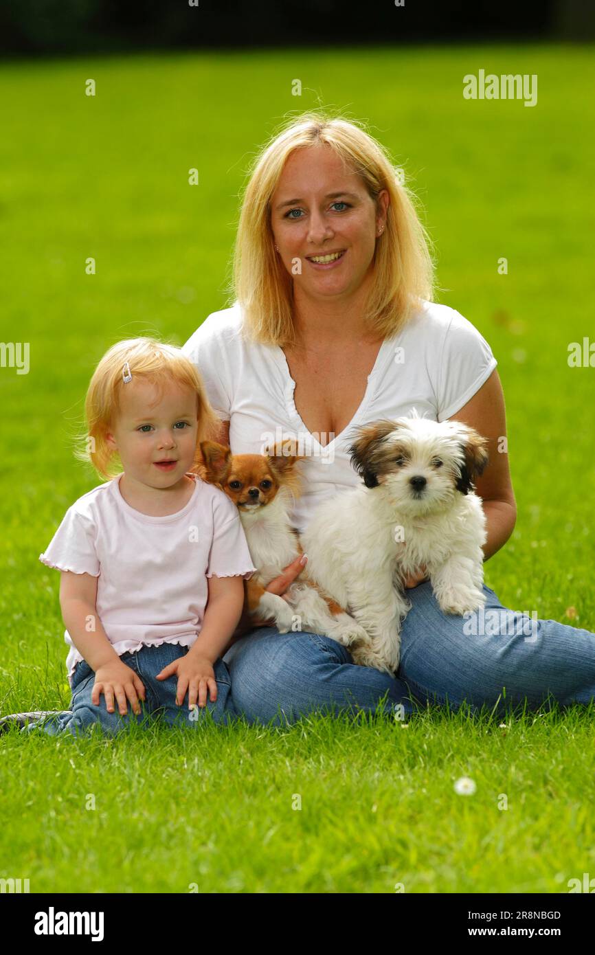 Wife and daughter with Chihuahua and mixed breed dog, puppy Stock Photo