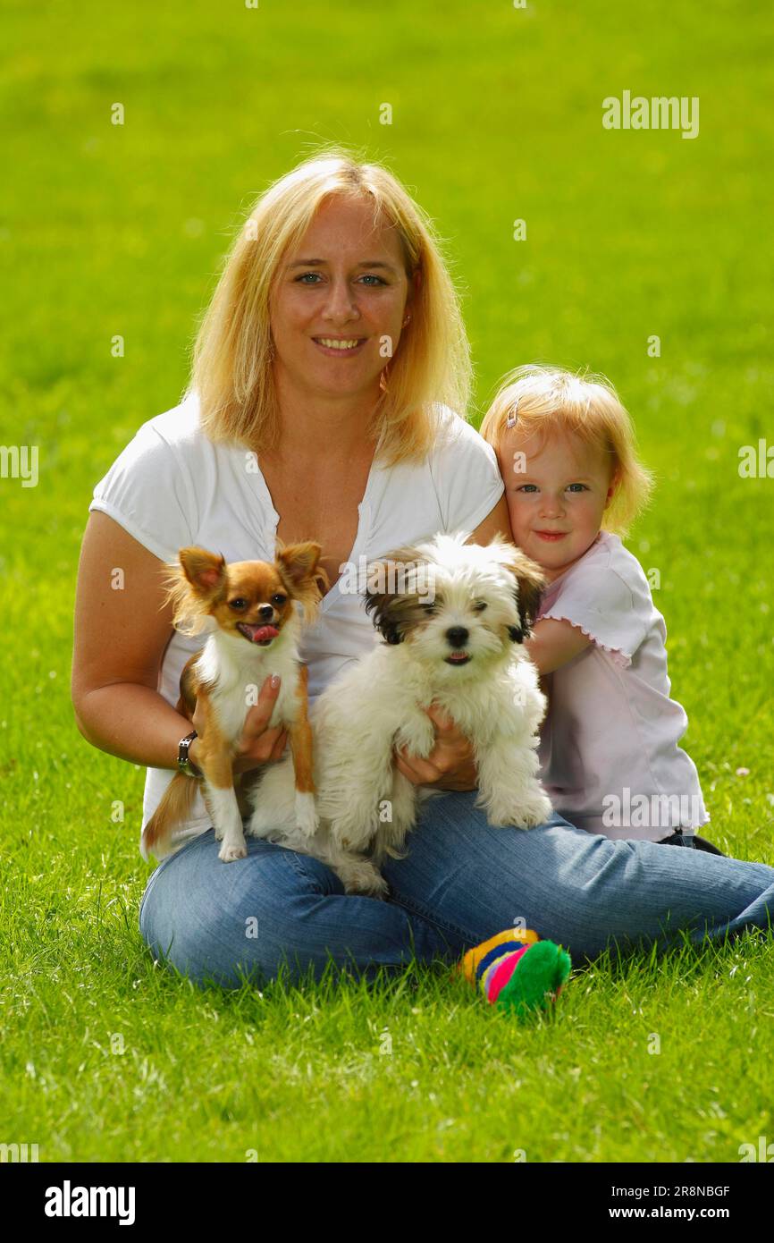 Wife and daughter with Chihuahua and mixed breed dog, puppy Stock Photo