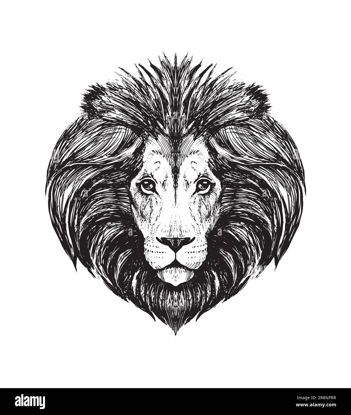 Realistic engraving drawing of lion muzzle, wild beast head, zoo, safari, line vector illustration isolated on white background. Detailed hand drawing Stock Vector