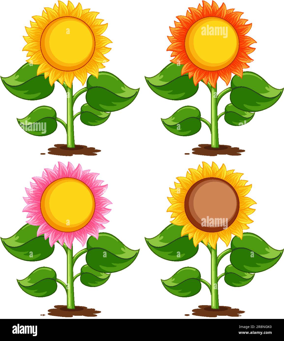 Sunflower plant cartoon isolated illustration Stock Vector Image & Art ...