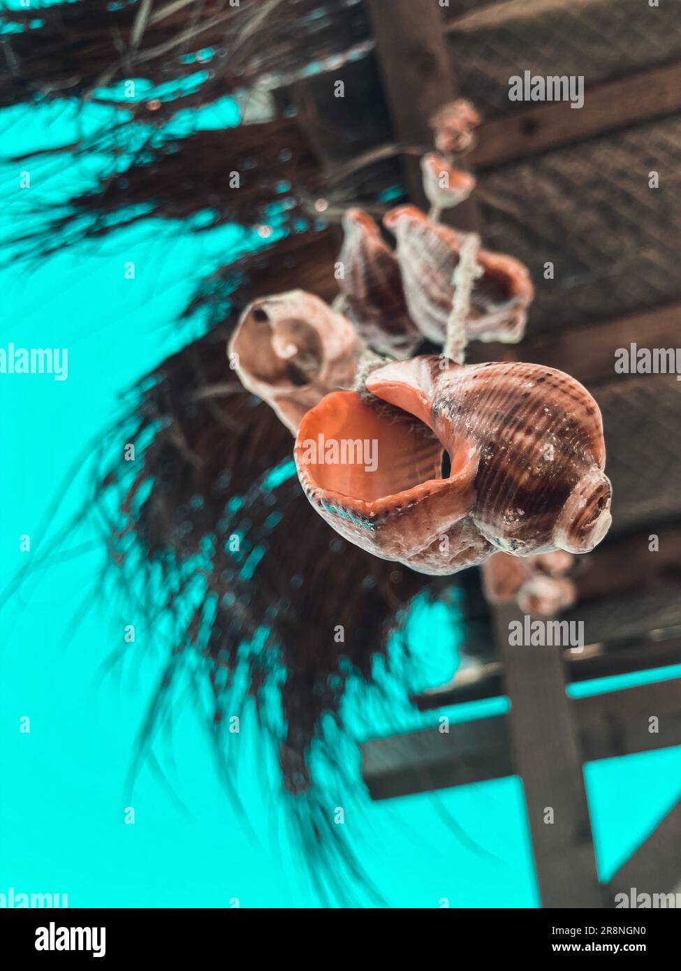 A rope adorned with a variety of shells hangs from a roof, against a ...