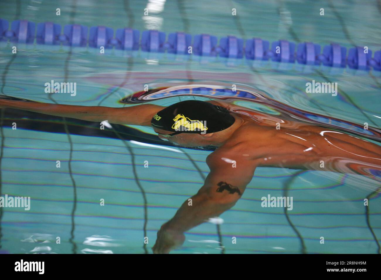 Surface Tension Swimmer