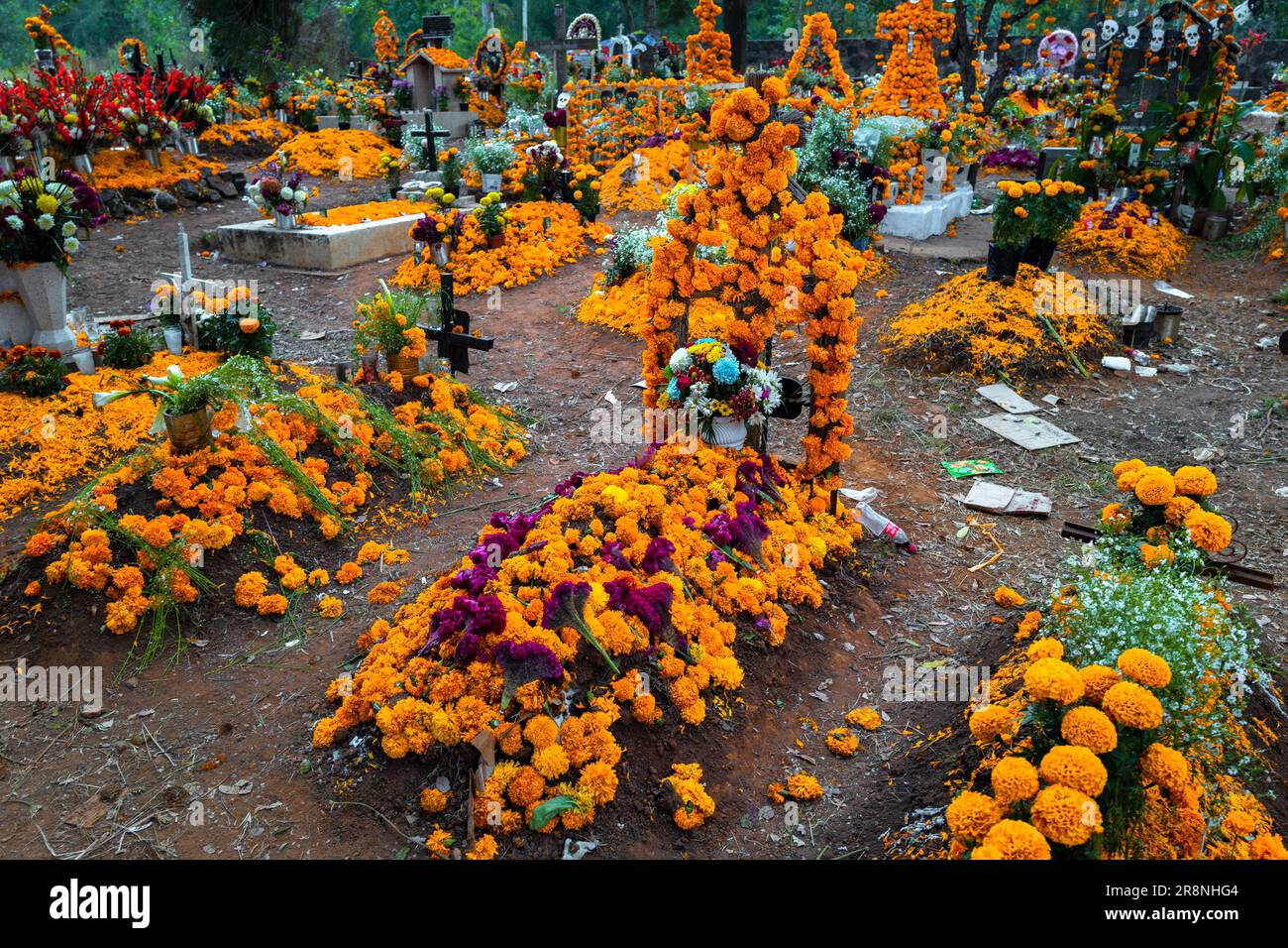 Graves decorated with marigold flowers are seen at a cemetery during the Day of the Dead festivities in Tzurumútaro, Michoacán, Mexico. Stock Photo