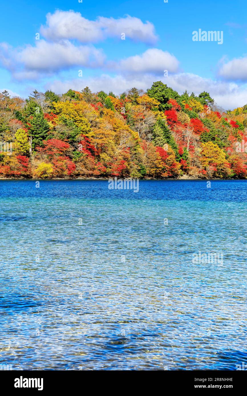 Lake Chuzenji and Autumn Leaves Stock Photo