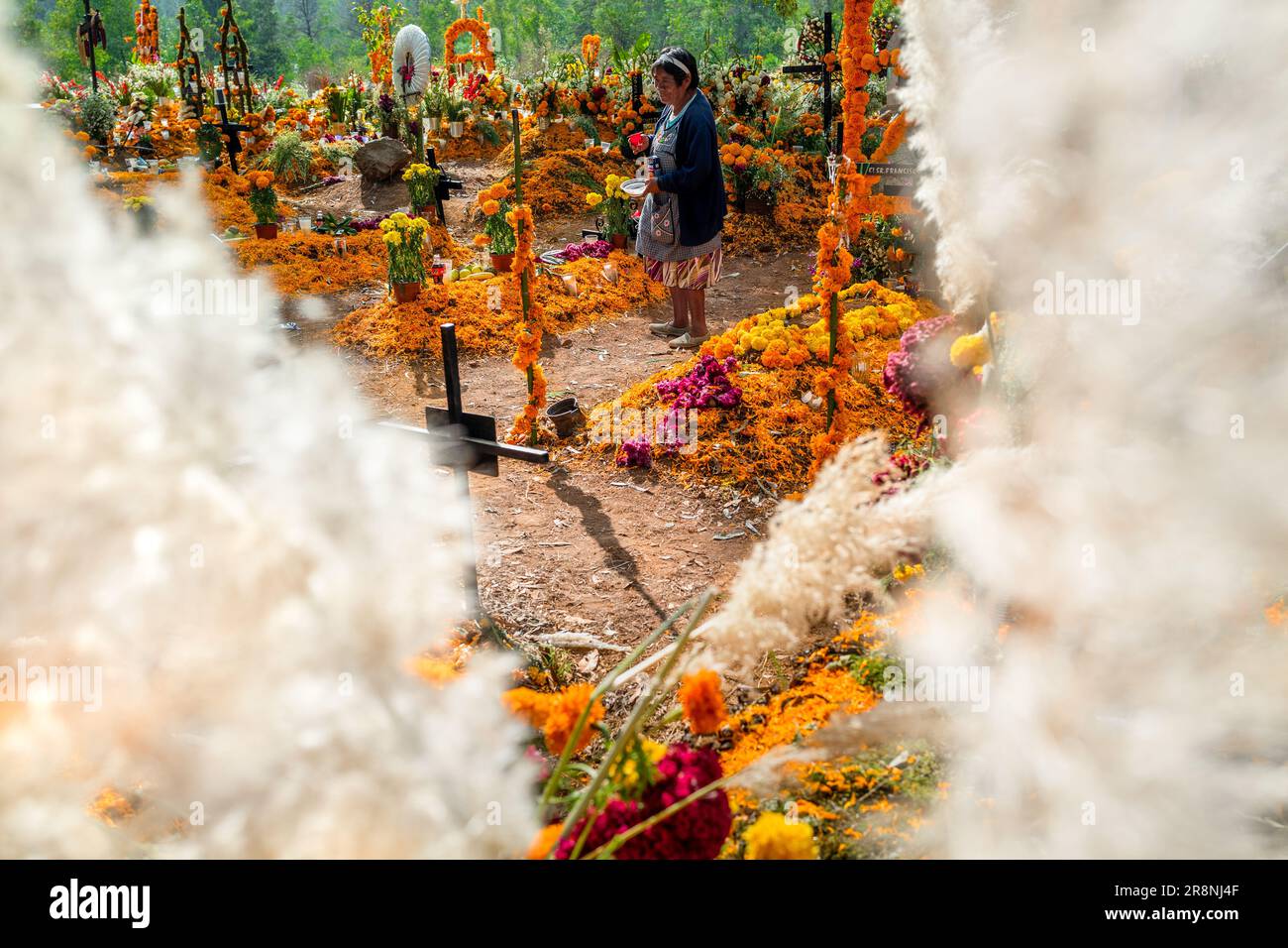 A Mexican indigenous woman walks amongst the graves at a cemetery during the Day of the Dead festivities in Tzurumútaro, Michoacán, Mexico. Stock Photo