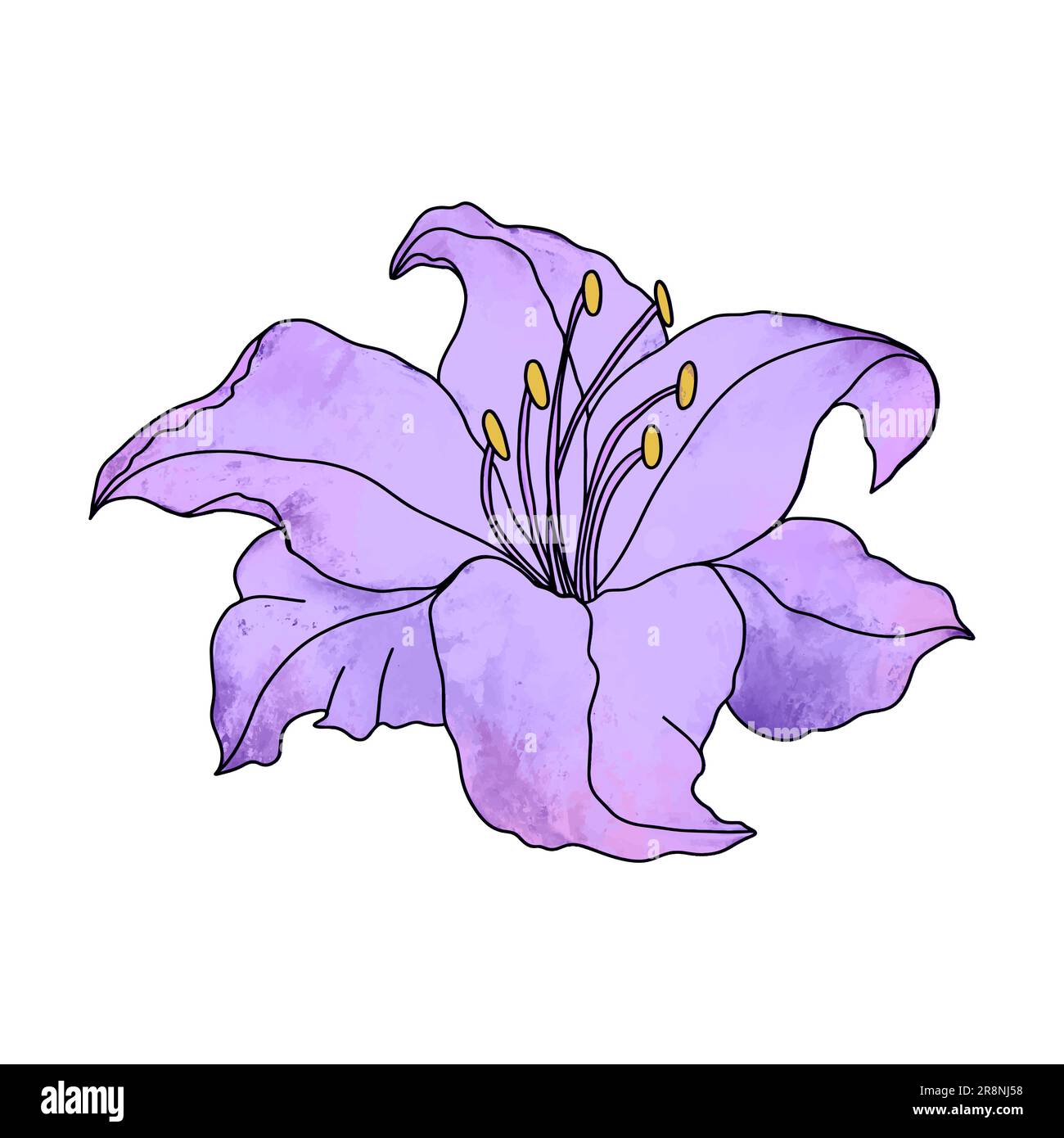 Lily flower hand drawn design, floral vector element isolate on white background Stock Vector