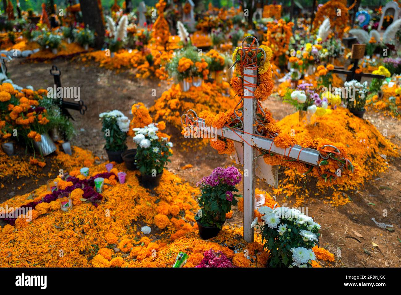 Graves decorated with marigold flowers are seen at a cemetery during