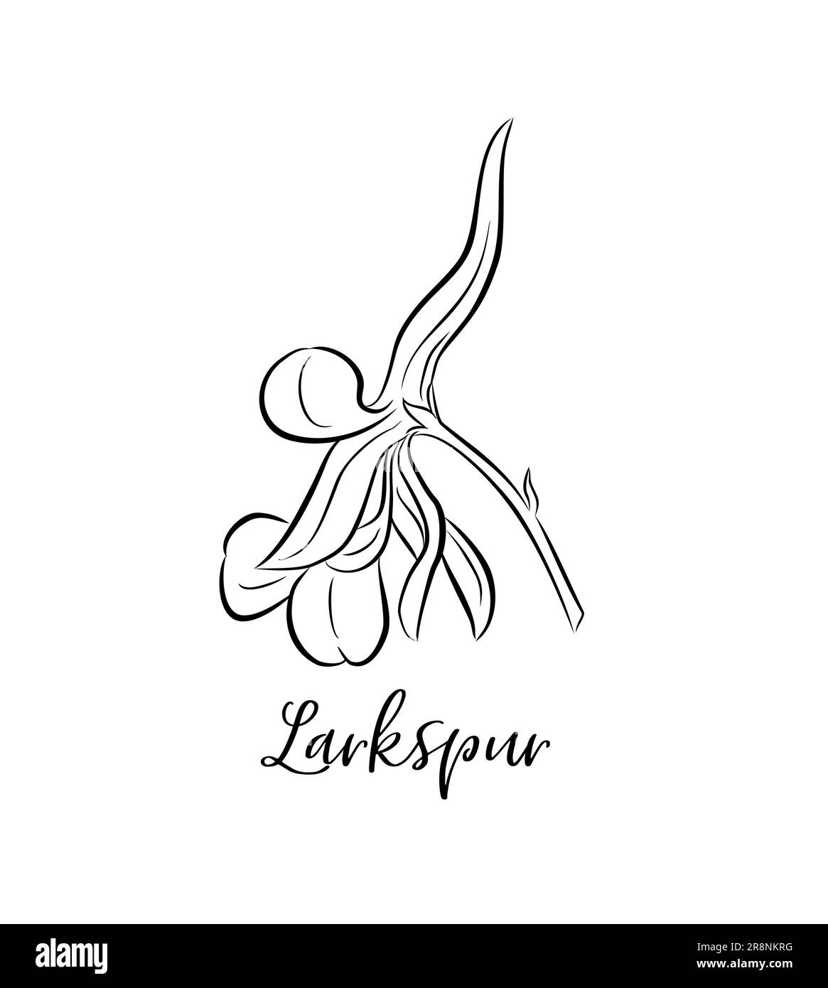 Larkspur July birth month flower line art drawing. Stock Vector