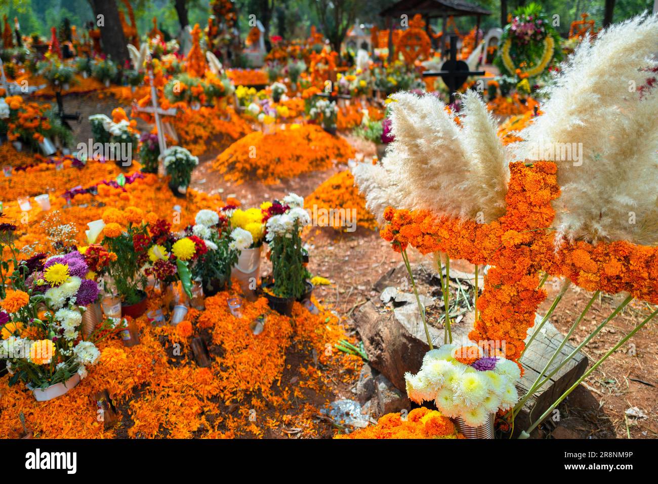 Graves decorated with marigold flowers are seen at a cemetery during the Day of the Dead celebrations in Tzurumútaro, Michoacán, Mexico. Stock Photo
