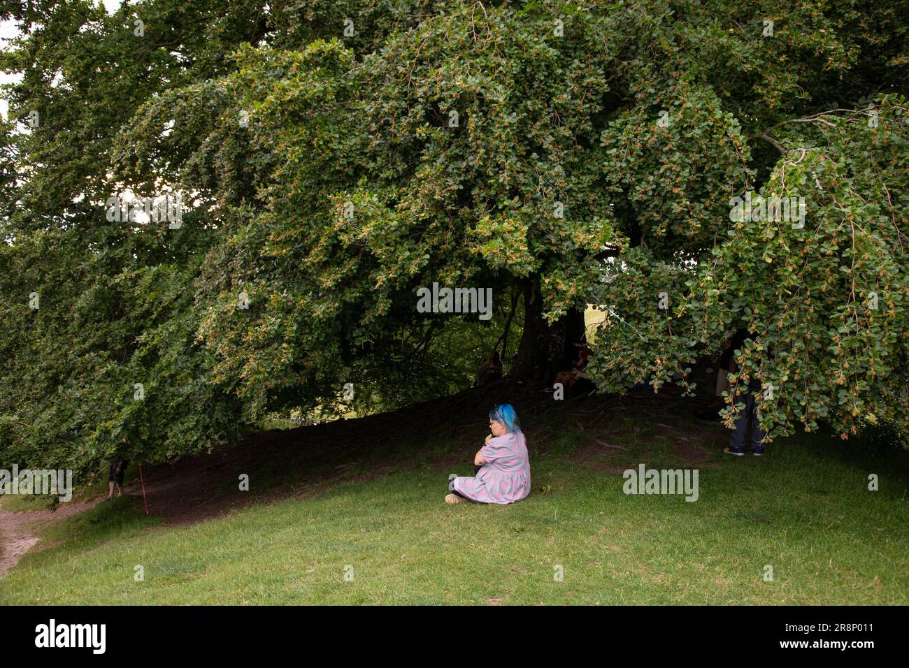 Avebury, UK. 20th June 2023. A woman sits under the wishing tree which is said to have inspired JRR Tolkien’s ‘walking trees’ in Lord of the Rings. Cr Stock Photo