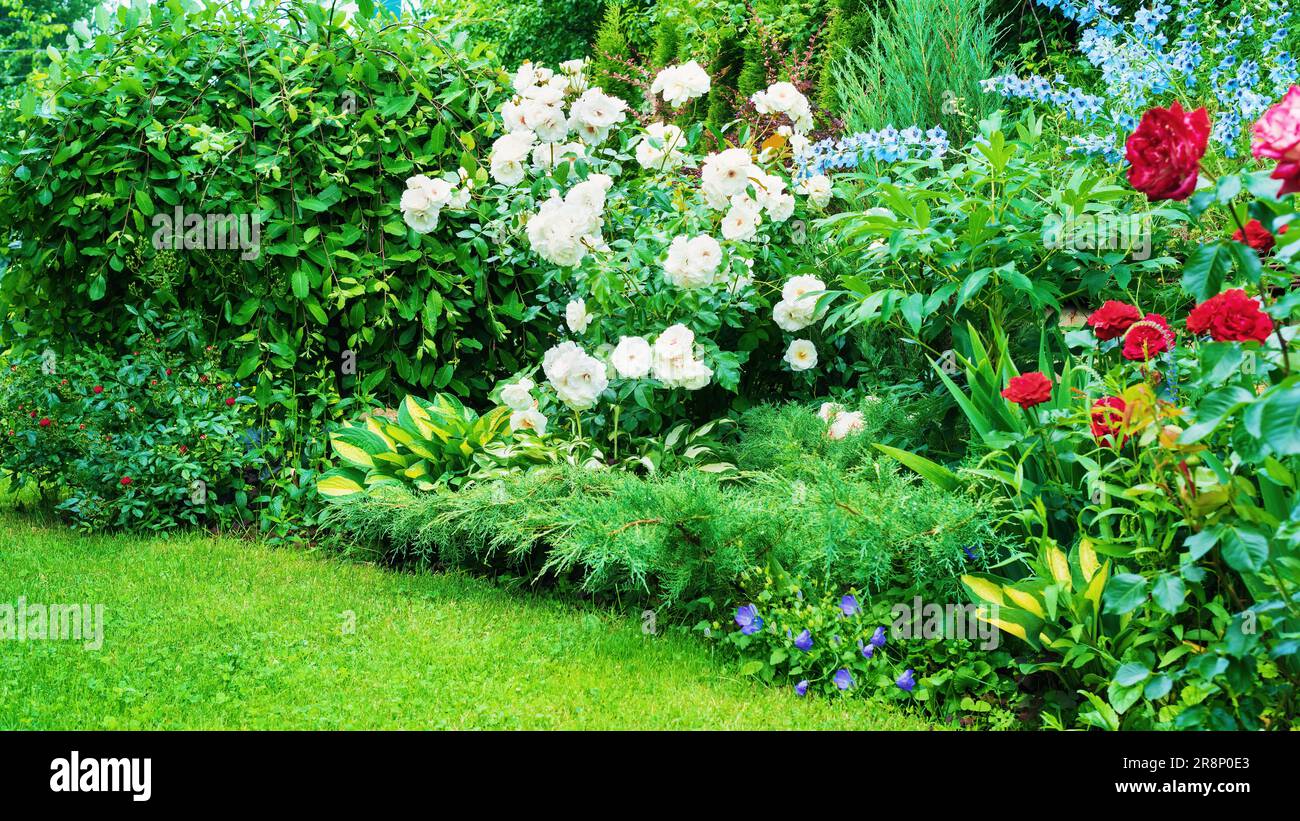 Landscaping ideas for mixed borders in home garden. Beautiful