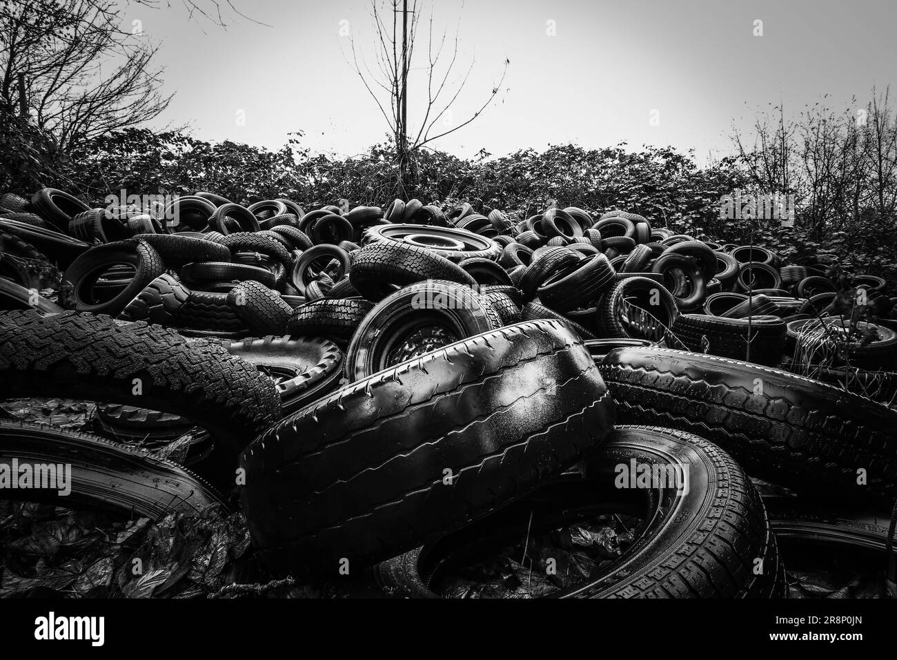 stack of car tires in black and white Stock Photo