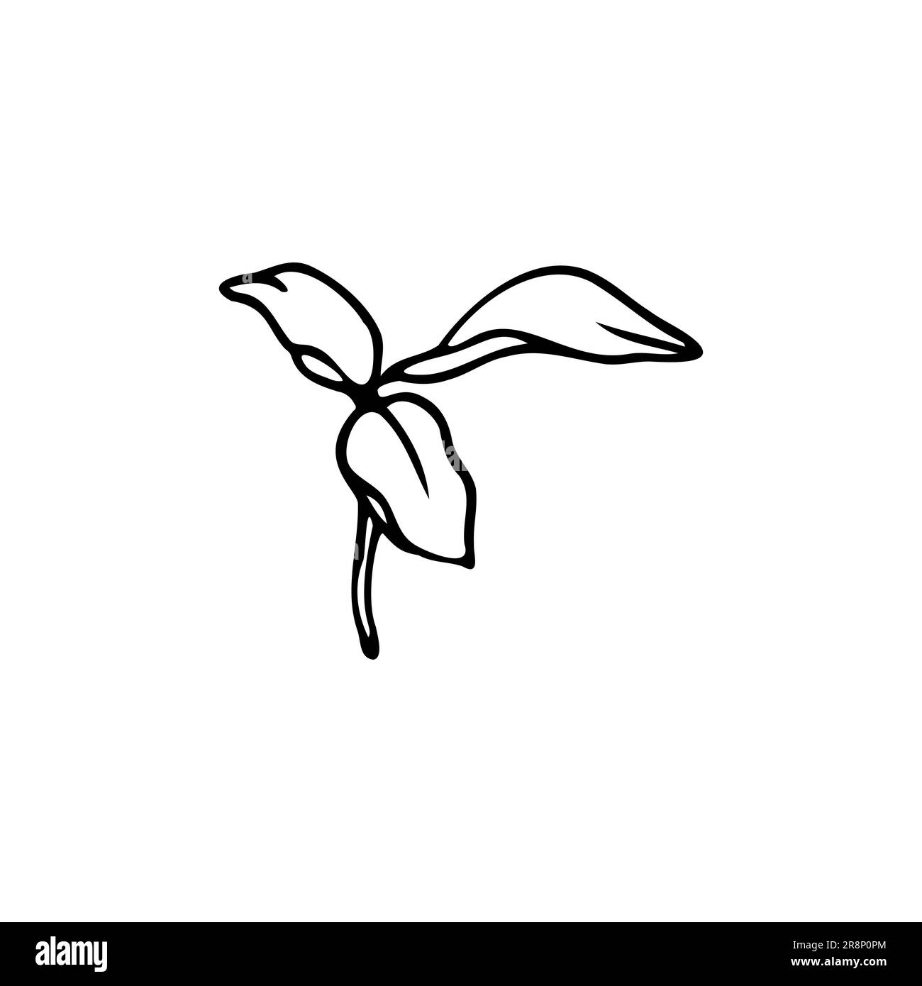 Lily flower hand drawn design, floral vector element isolate on white background Stock Vector