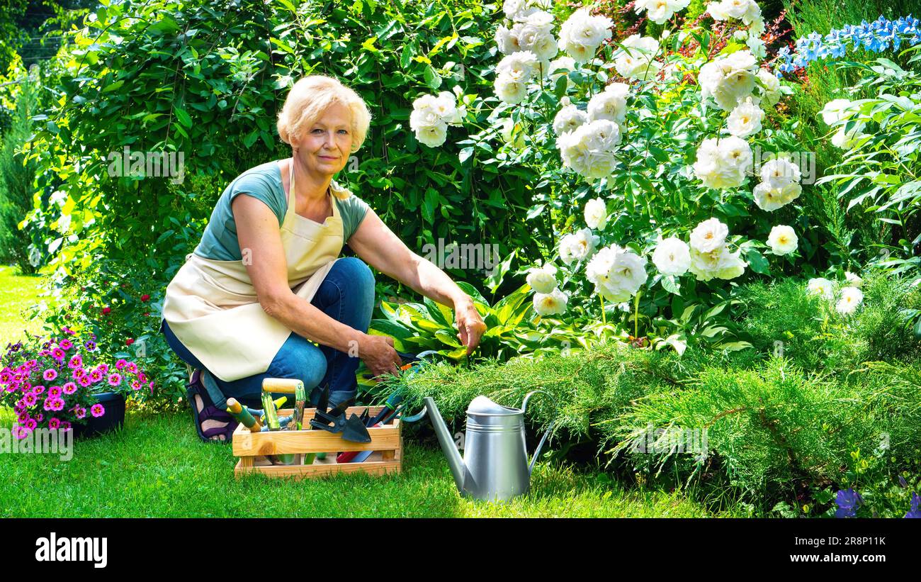 Elderly woman kneeling hi-res stock photography and images - Alamy