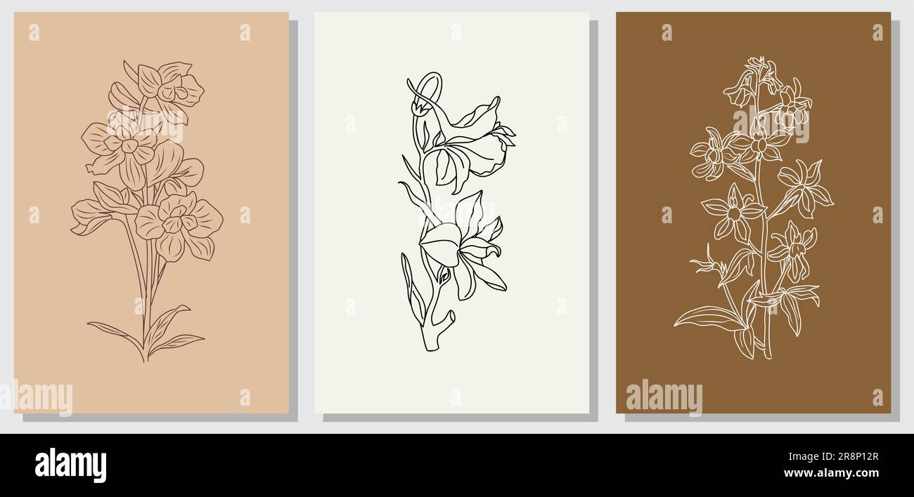 Set of Larkspur flower minimalist vector wall art. Stock Vector