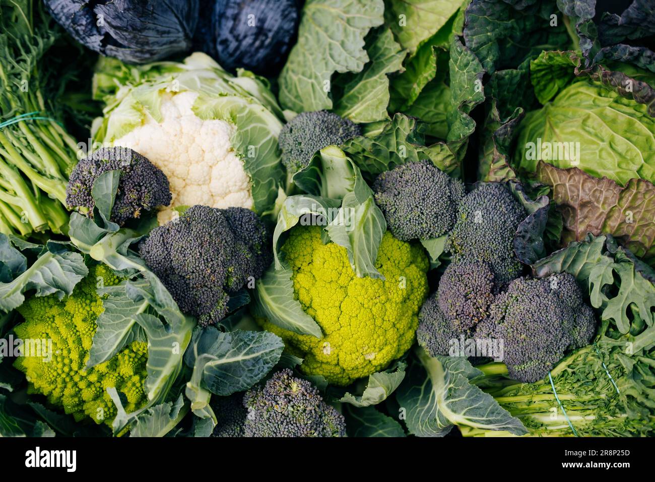Top view photo of many eco and bio green cauliflower, broccoli and cabbage  in market Stock Photo - Alamy