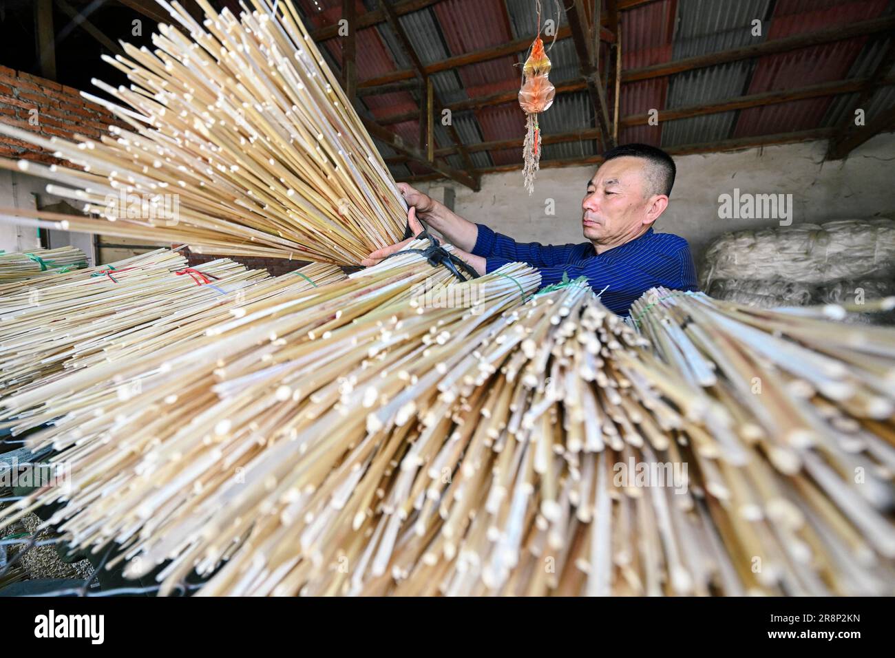 CHANGCHUN, June 22, 2023 (Xinhua) -- Rong Fengming sorts materials for ...