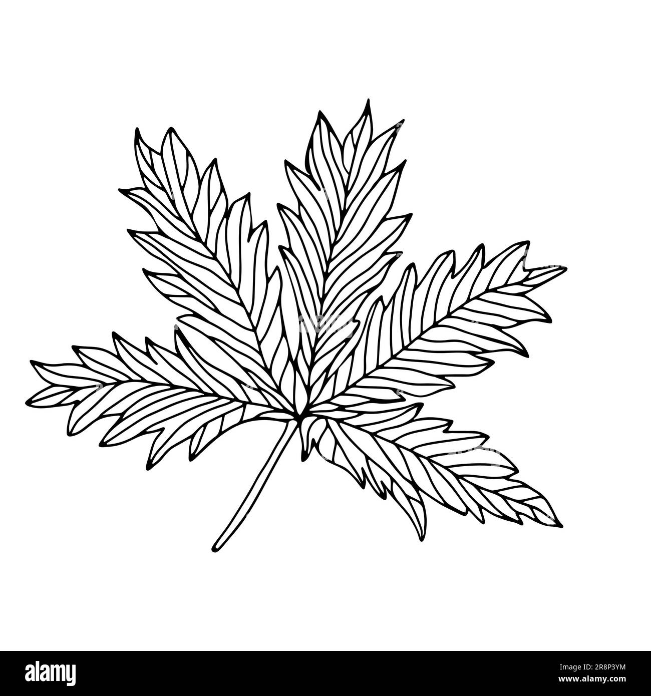 Hand drawn leaves, floral elements isolate on white background.Plants element illustrated Design for decor and print. Stock Vector