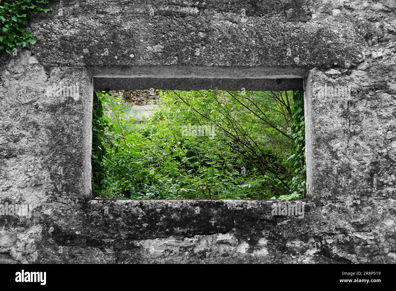 Wall and window of the old and abandoned house in the forest Stock ...