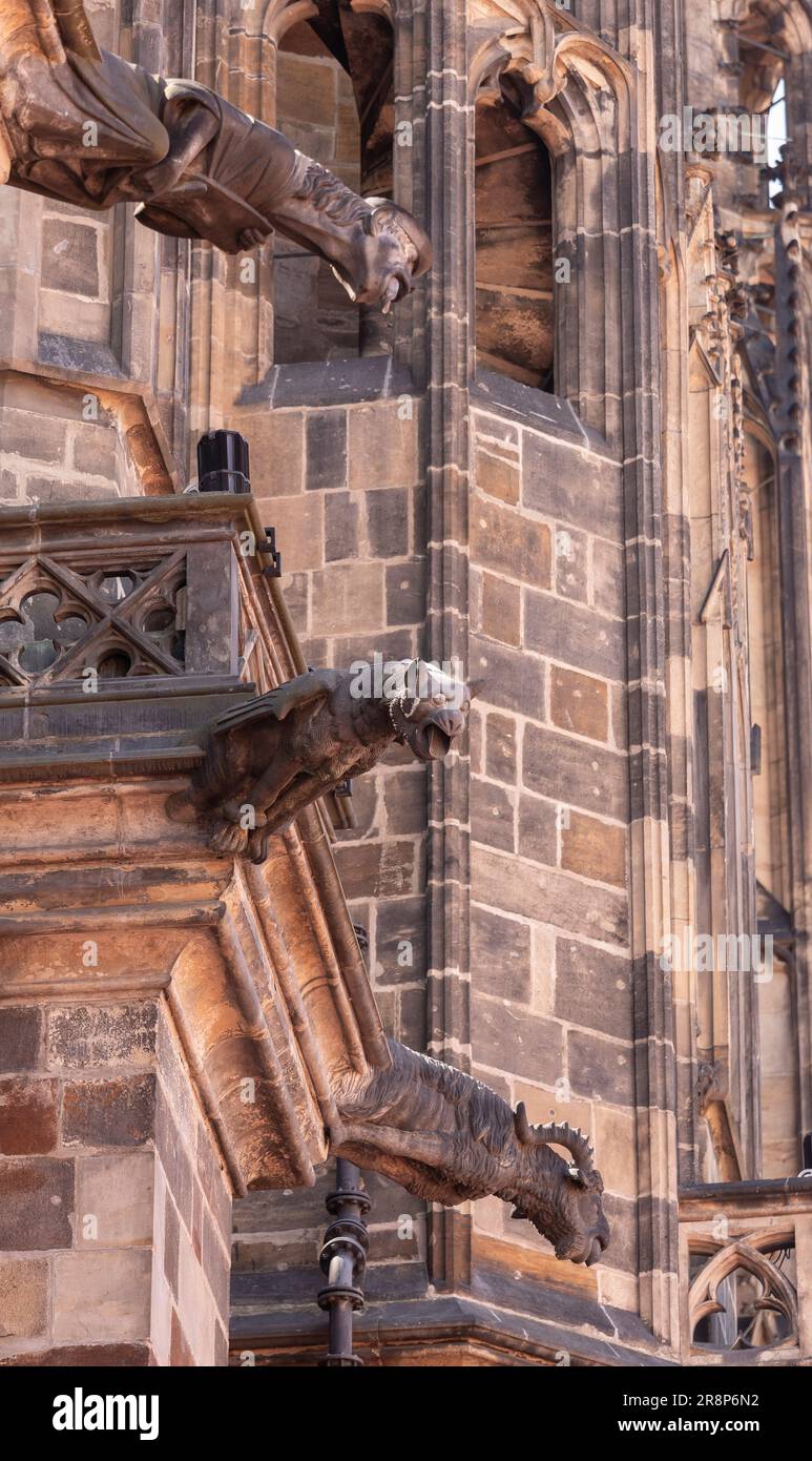 PRAGUE, CZECH REPUBLIC, EUROPE - St. Vitus Cathedral gargoyles Stock Photo