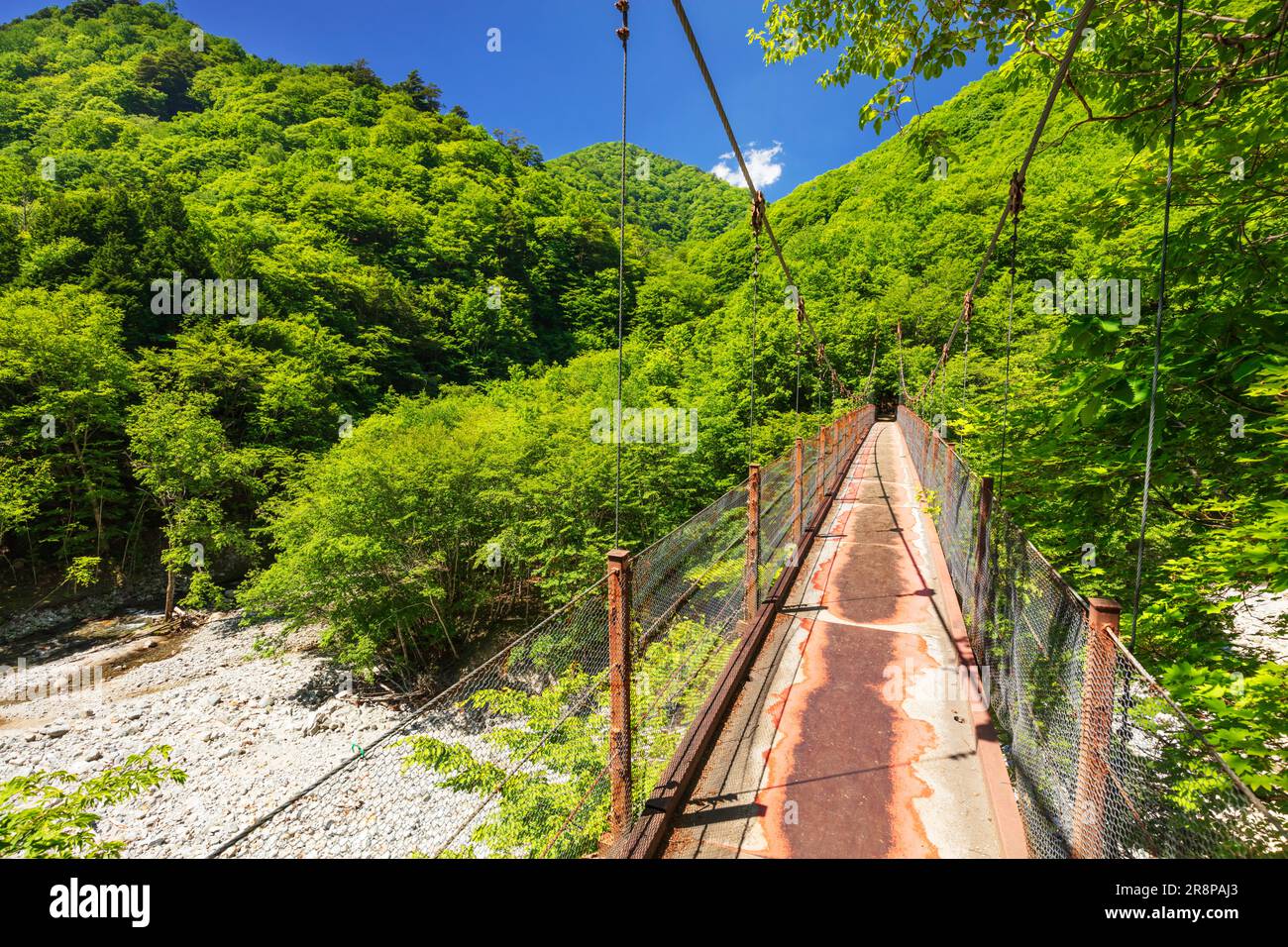 Futamata Suspension Bridge in Nishizawa Valley Stock Photo